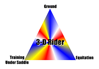 3-D Rider Horsemanship Program - Ground Training, Equitation, Training Under Saddle