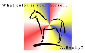 What color is your horse really? Discovering the personality type of your horse