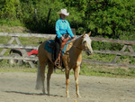 Horse Trainer Davalee Minden Riding Her Palomino Quarter Horse